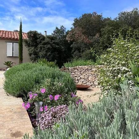 L'oliveraie Ventenac-Cabardès
