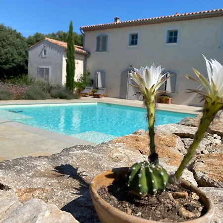 L'oliveraie